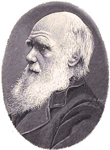 Portrait de Charles Darwin.