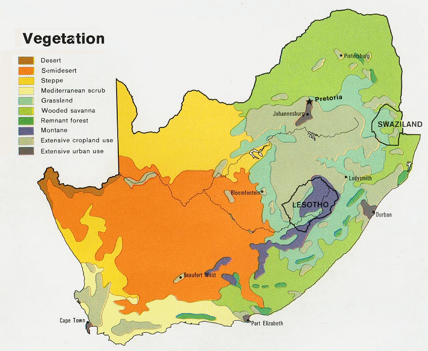 Carte de l'Afrique du Sud  (vgtation).