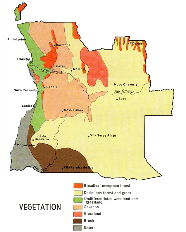 Carte de l'Angola  (vgtation).