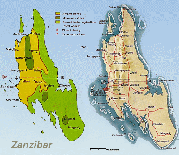 Carte de l'île de Zanzibar.