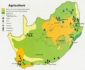 Agriculture de l'Afrique du Sud.
