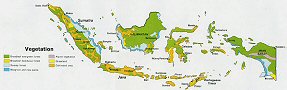 Végétation de l'Indonésie.
