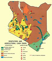 Végétation et agriculture du Kenya.