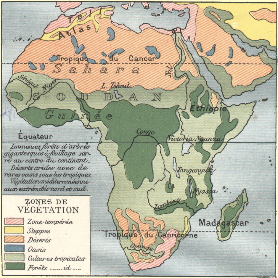 Afrique : zones de vgtation.