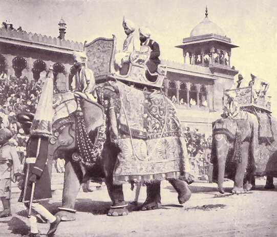 Photo d'éléphants en Inde.