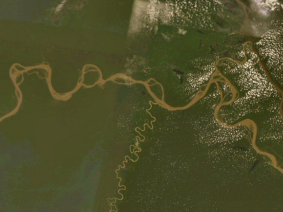 Confluent de l'Amazone et du Jurua.