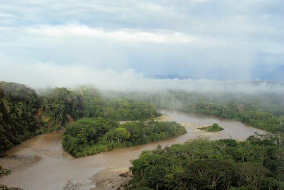 Amazonie équatorienne.