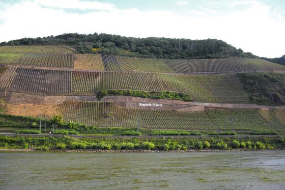 Vignobles du Rhin : Bopparder Hamm