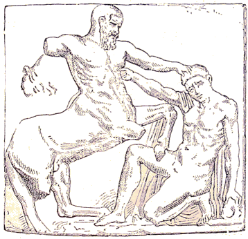 Centaure du Parthnon.
