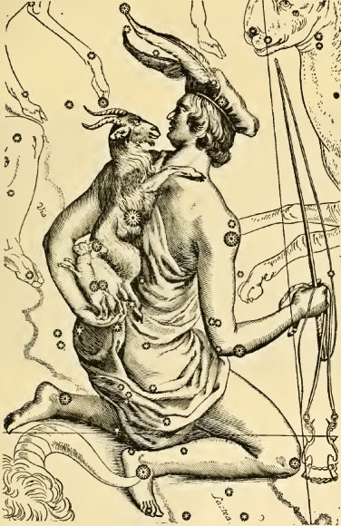 Constellation du Cocher dans l'Atlas d'Hvlius (1690).