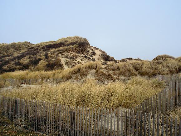 Dunes.