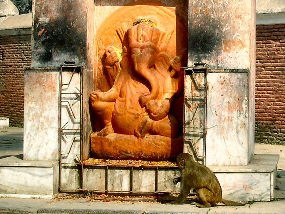 Pashupatinath : Ganesh.