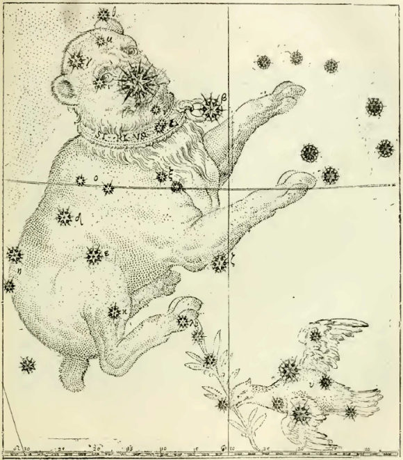 Atlas de Bayer : la constellation du Grand-Chien.