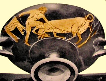 Héraclès et le Taureau de Crète.