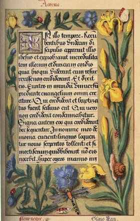 Livre d'Heures d'Anne de Bretagne.