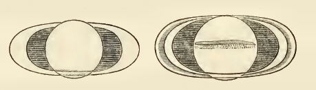 Dessins de saturne et de son anneau par Huygens et par Cassini.