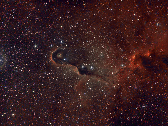 IC 1396 (la Trompe d'éléphant).