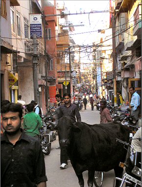 Rue de Jaipur.