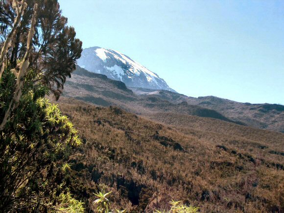 Tanzanie : le Kilimanjaro.