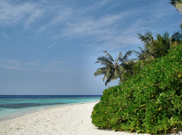 Océan Indien : une plage des Maldives.