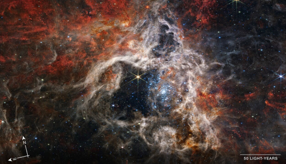 NGC 2070 : nbuleuse de la Tarentule