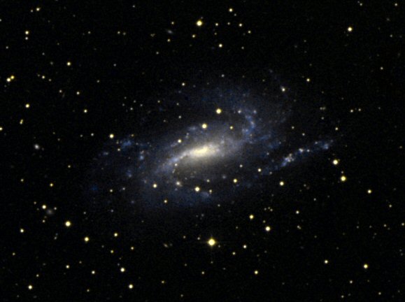 NGC 925.