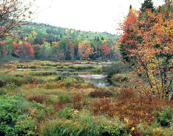 Paysage du New Hampshire.