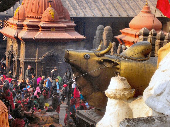 Pashupatinath : le temple d'or et le taureau Nandi.