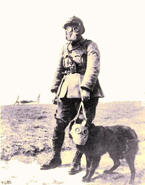 Premire guerre mondiale : soldat et chien quips de masques  gaz.