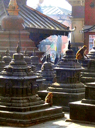 Kathmandou : jardin des Chaitya à Swayambunath.