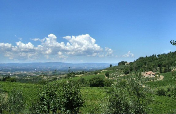 Vignobles en Toscane.