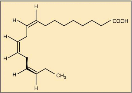 Molécule d'acide alpha-linoléique.