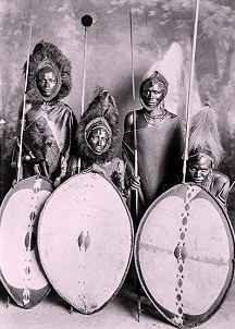 Guerriers masai arms de lances et de boucliers.