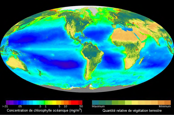 Carte de l'activité photosynthétique sur la Terre.