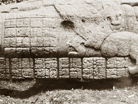 Stèle maya (Quirigua).