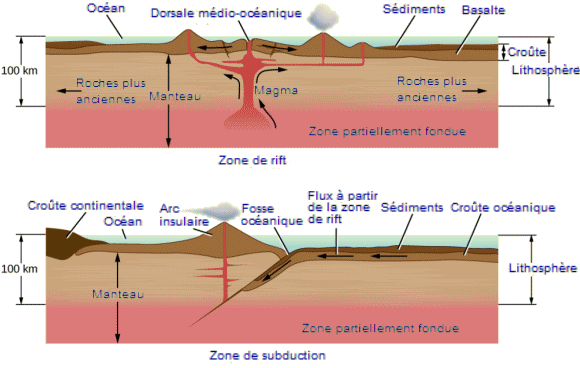 Tectonique des plaques : zone de rift et zone de subduction.